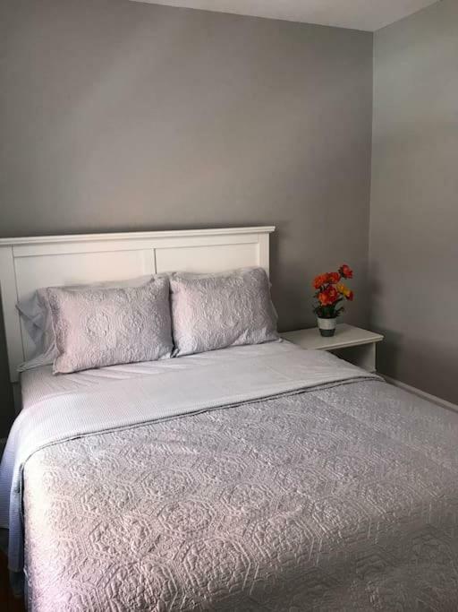 オタワBright, Clean, Private. In The Heart Of Downtown! Parking, Wi-Fi And Netflix Includedアパートメント エクステリア 写真